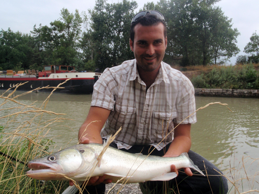 Comment pêcher le carnassier dans la Garonne ? - Toulouse Infos